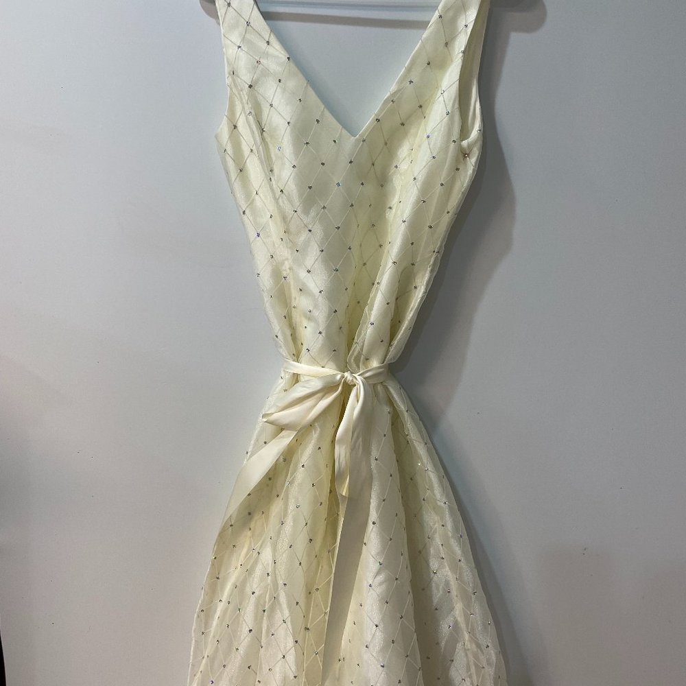 Full Length Formal Gown- Papell Boutique Evening, Size 12 (Previously Worn)